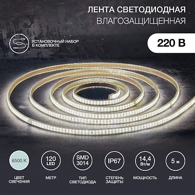 LED Лента 220В, 6x10.6мм, IP67, SMD 3014, 120 LED/m, цвет свечения белый, 5м (с комплектом подключения)